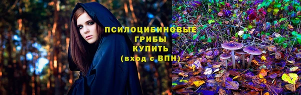 ГАЛЛЮЦИНОГЕННЫЕ ГРИБЫ Армянск