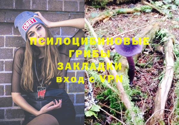 соль курить ск Аркадак