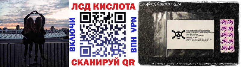 Марки NBOMe 1,5мг Стародуб