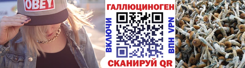 Псилоцибиновые грибы MAGIC MUSHROOMS  Стародуб 